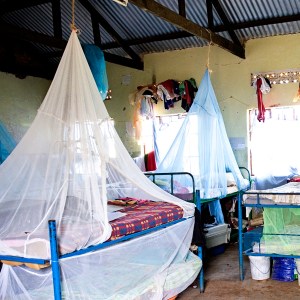 Mosquito Net for Buyomba Dorm