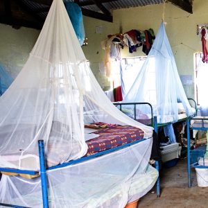 MOSQUITO NET IMMEDIATE NEEDS [Child's Name] Mosquito Net
