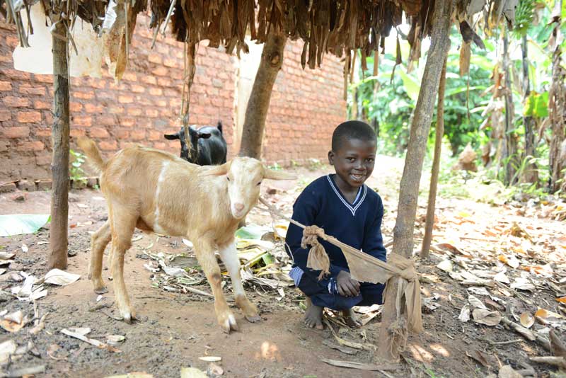 Wasswa-Trevis---2019-2---Photo-Goat-_7686