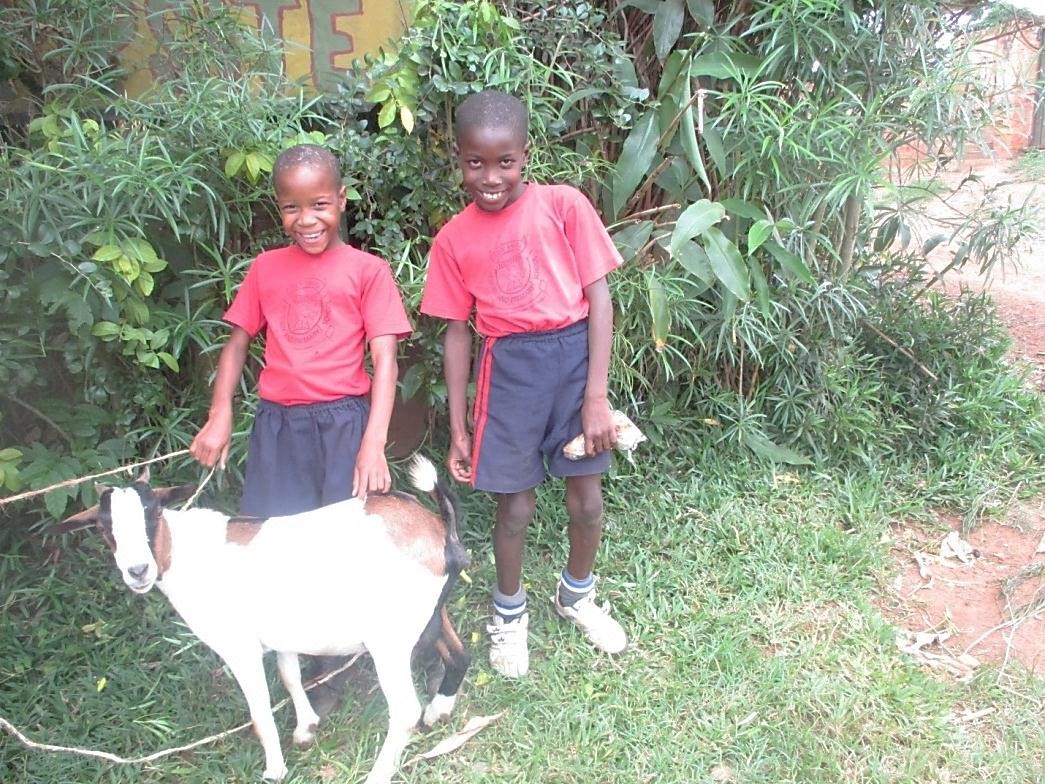 Nakayiza Shibah - 2015-2 - Photo, C2Y goat, w brother