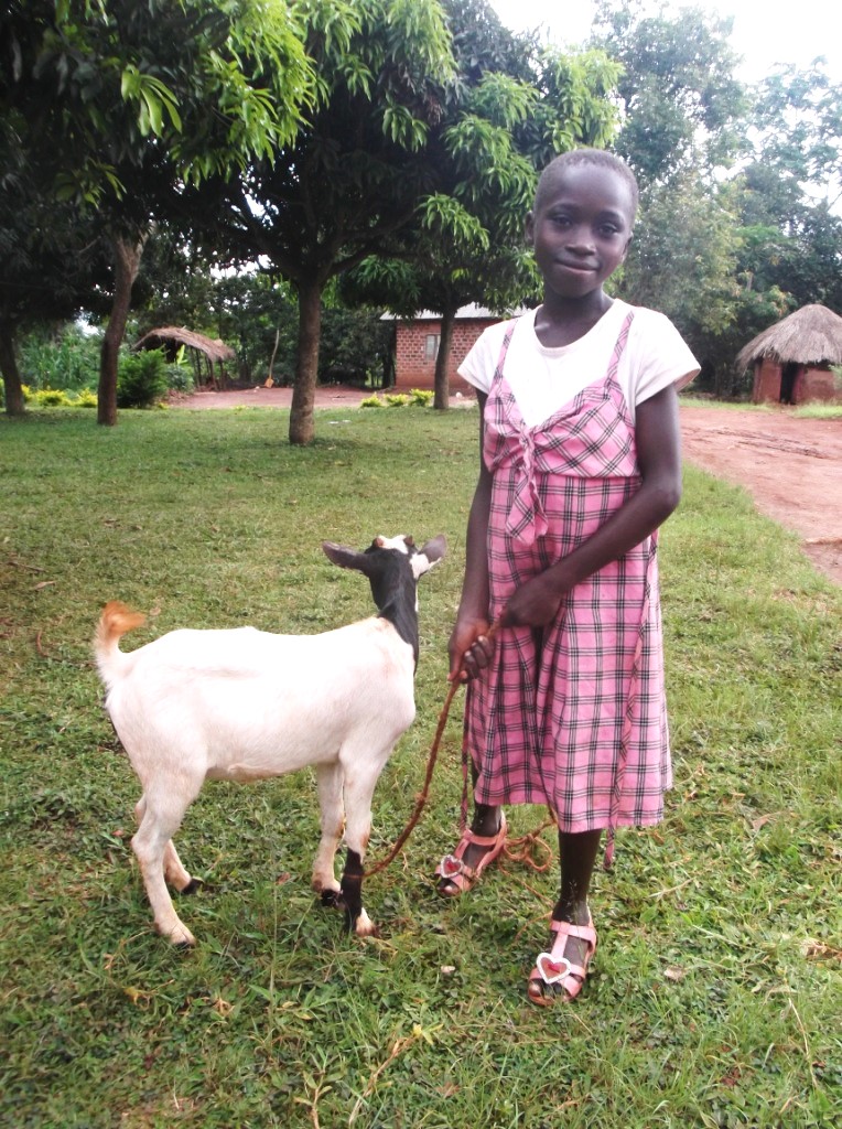 Nambi Anita Sumaya - 2017-3 - Photo C2Y goat